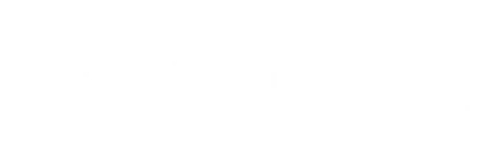 Elan Media