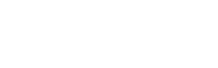Elan Media